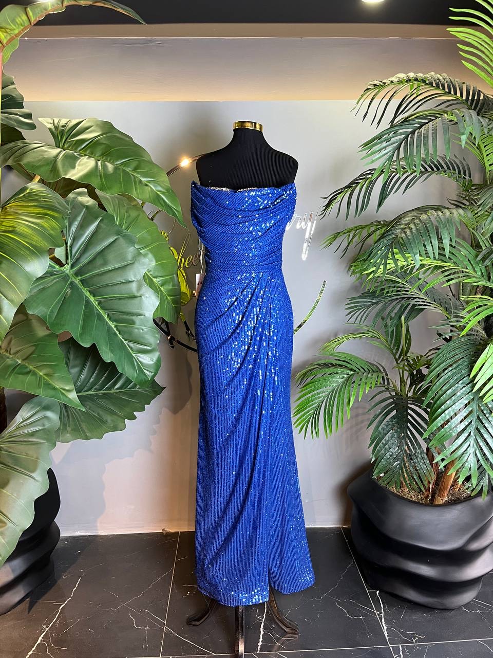 IMG_0273 IMG 0273